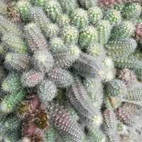 ëë��������