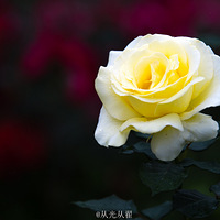 һ��һ���磬һҶһ���ᣡ