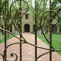 ���Ž����������޵�Ժ