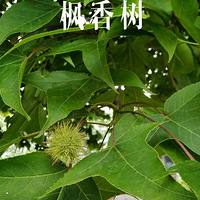 ����������������ֲ��~