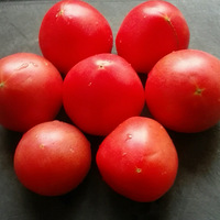 ���ѵ�ˮ����