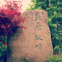 ������԰����