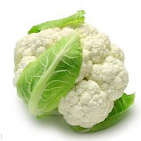 ��Щ�˲�������ܷ���