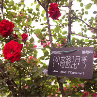 �Ϻ���ɽֲ��԰�������ա�