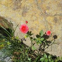 �ºӾ��������¼���