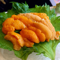 520Ҫ���Լ���һ�㣬�������ϡ�