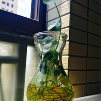 ������Ҫ�е����⣬ʱ����Ҫ�е�ɫ�ʣ�����