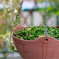 �µ�һ���ֿ�ʼ���������ҵĻ����ݲ����鲻