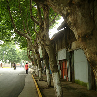 ������ʧ�ĵط�