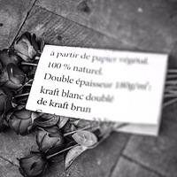 ����ĸо��������߶�