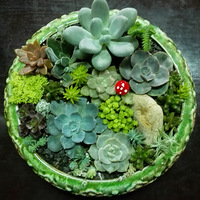 ����ֲ������