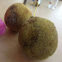 ���·ݣ����������ɱ���Ǳˮ���Ǳ���ʳ����