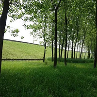 ����+�����ѧʱ�������Լ������Զ��ֹ�ô��