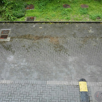 �������ڡ�����ᡱ�Ա����ȣ�����������������