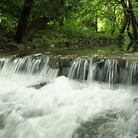 ���ݾ�Ϫ�ٲ�