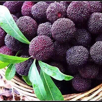 ��û������ˮ��