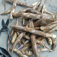 �ϱ���ʱ��