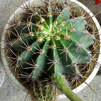 �����򿪻�