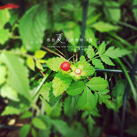 �ܰ�һЩ������ù������أ������һ���Ͻ�