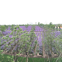 ·����ʿ�ᣬ��ȥ���