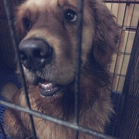 �ҵĽ�ë�ճ��꣡�����Ҹ�����������