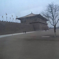 �ų�����