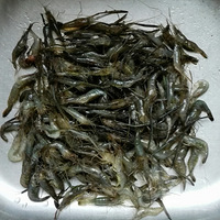 Ұ����Ϻ���ֳԷ�