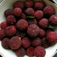 ��÷����