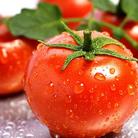 ʢ�ľͳ���Щ�߲� ������������Ч