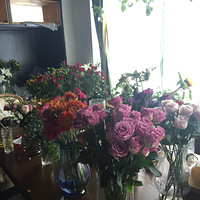 ����+�ƴ�����+����ͦ�� �ʺ������