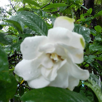 ���е����ӻ�