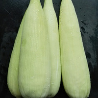 �����³Է�