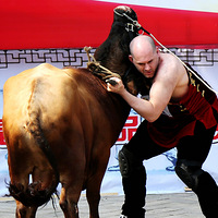 ������һ��������