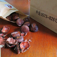 �������硿���籩���������ӵı����֮��~