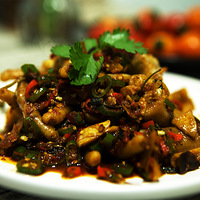 �ٳԲ��ᡪ��������צ