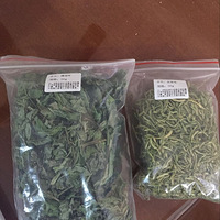 Ż����Ѫ�ı��ɸ�����~~