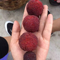 �Թ���óԵ��ɾ���÷