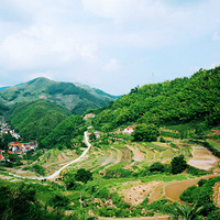 ��ǧ�������