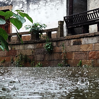 ����÷�꼾֮--�������~~