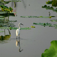 ���� ����