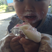 ����ͣ������