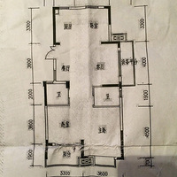 ���� ����