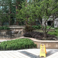 �ֺ����ң�����֮�ҡ�