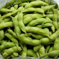 ë����ѩ��