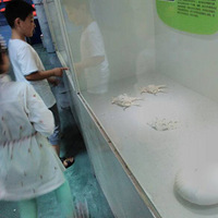 �ֶ��꺣���