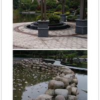 ��һ�����ϣ������õ�����������ï�³�