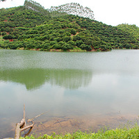 ��������ժ��֦