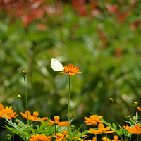 ��Ե����������