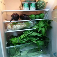 ÿ�춼������ʳ��