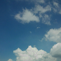 ���գ����